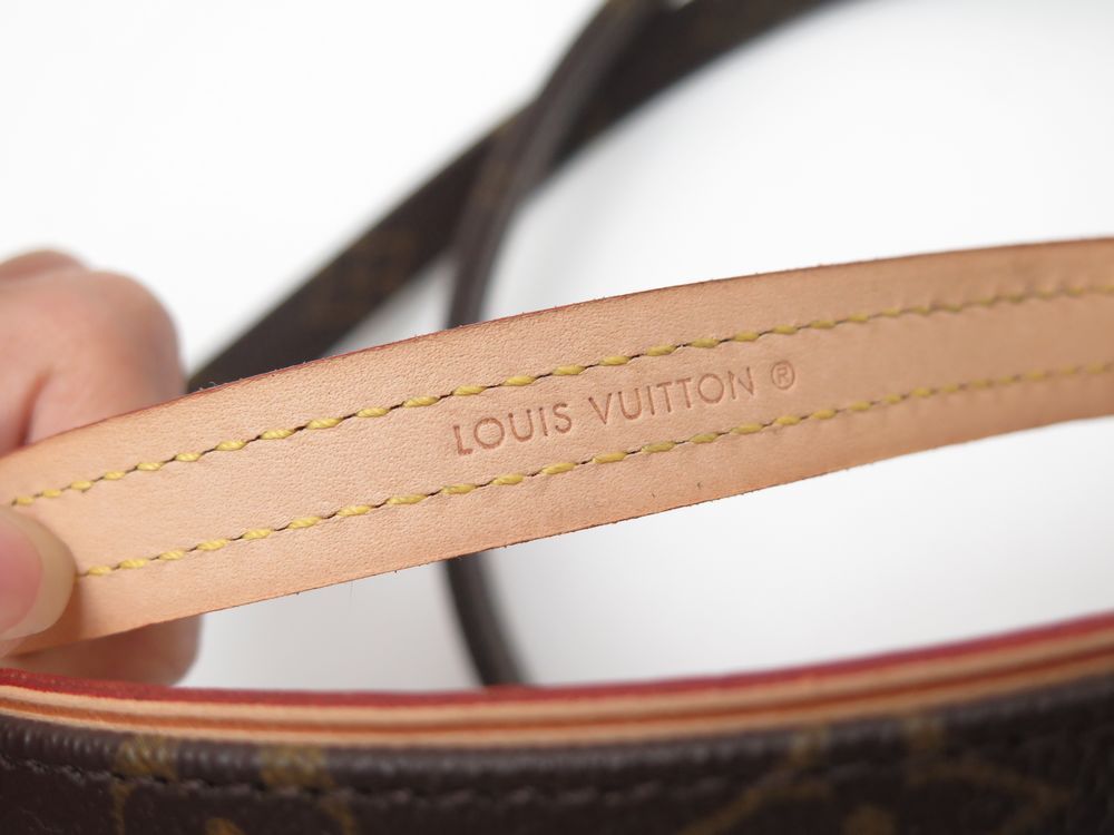 Louis Vuitton Louis Vuitton Laisse MM + Collier Baxter PM Monogram
